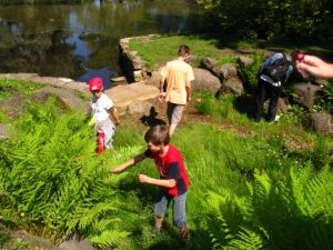 IMG_3996_539_404_100