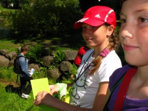 IMG_4003_539_404_100