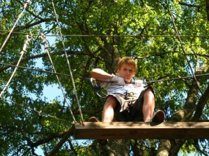 IMG_4568_539_404_100