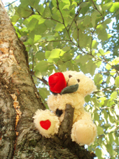 Я ПРИВЫК! ЗДЕСЬ ЗДОРОВО!