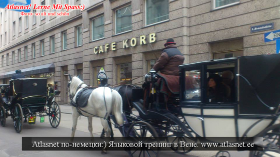 Wien! Языковая экскурсия практика Atlasnet Wien! Языковая экскурсия практика Atlasnet